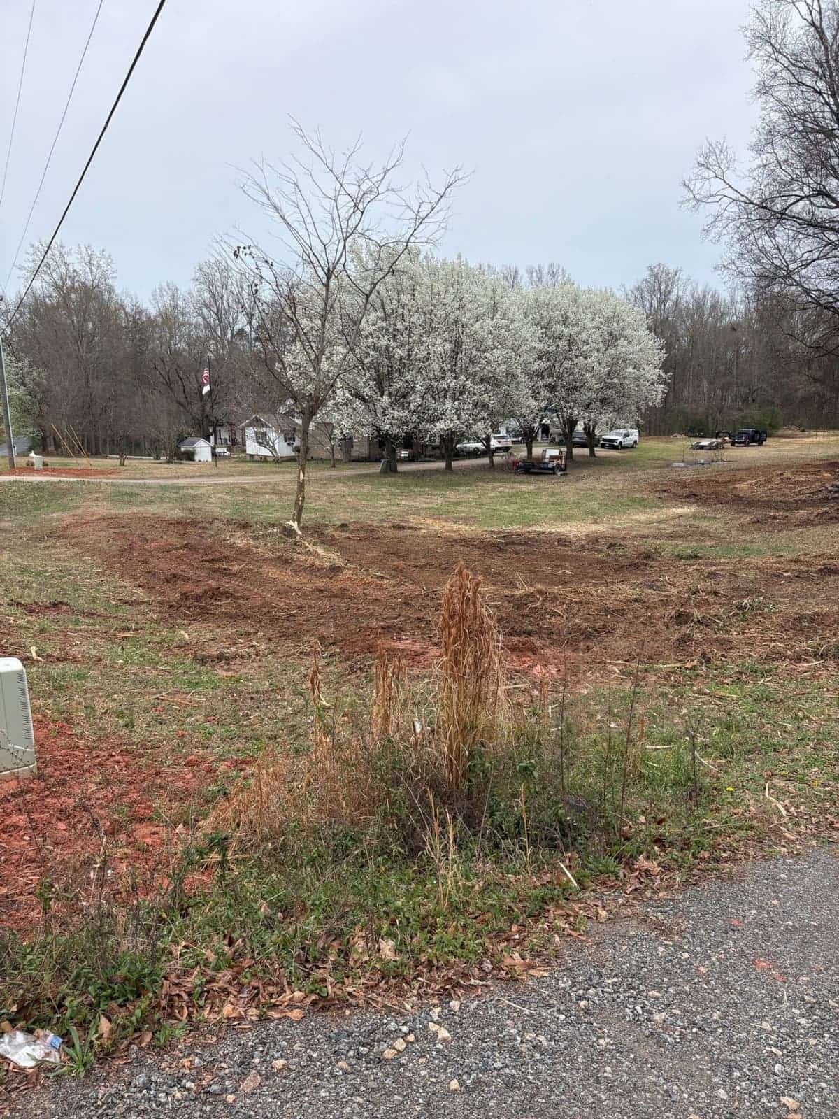 Clean cleared lot after forestry mulching service in Rock Hill SC