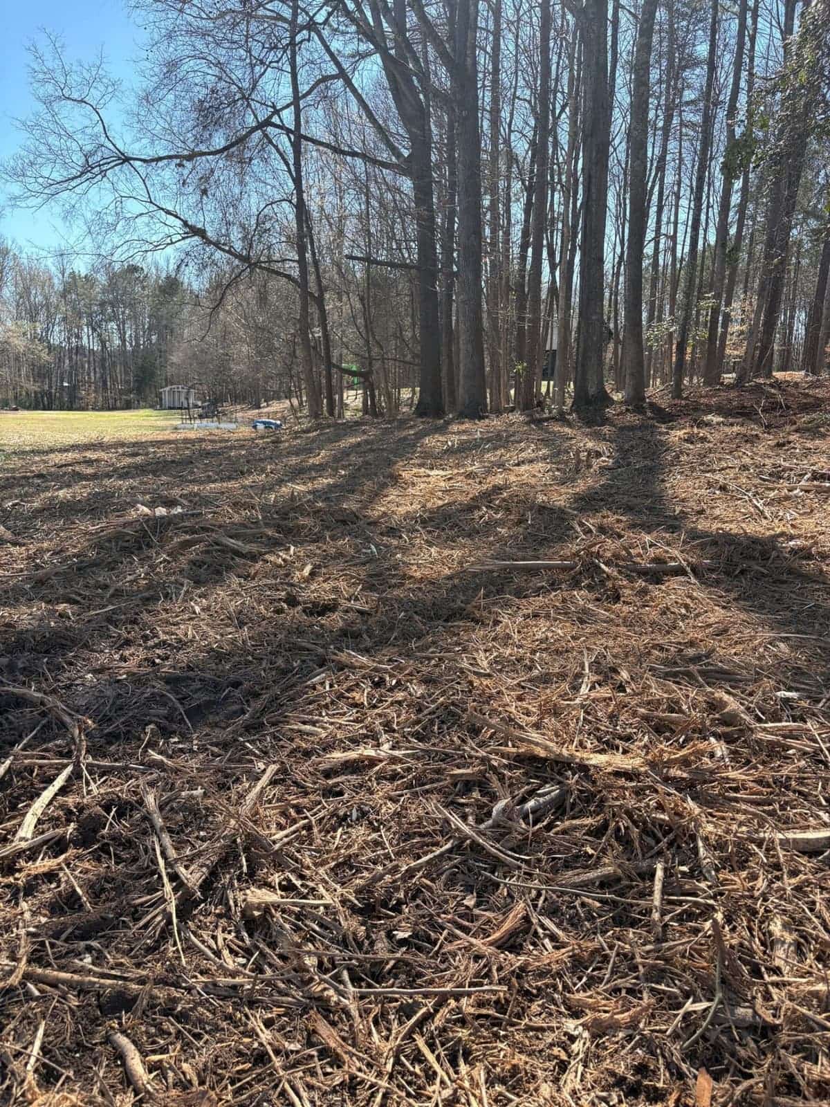 Clean mulched ground after brush removal service in York County SC