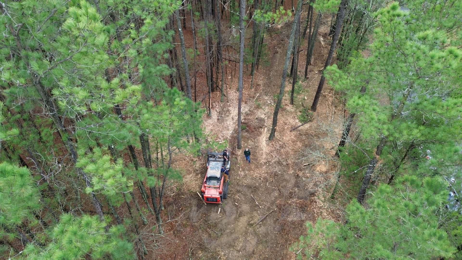 Brush removal in progress on a residential lot in York County, SC