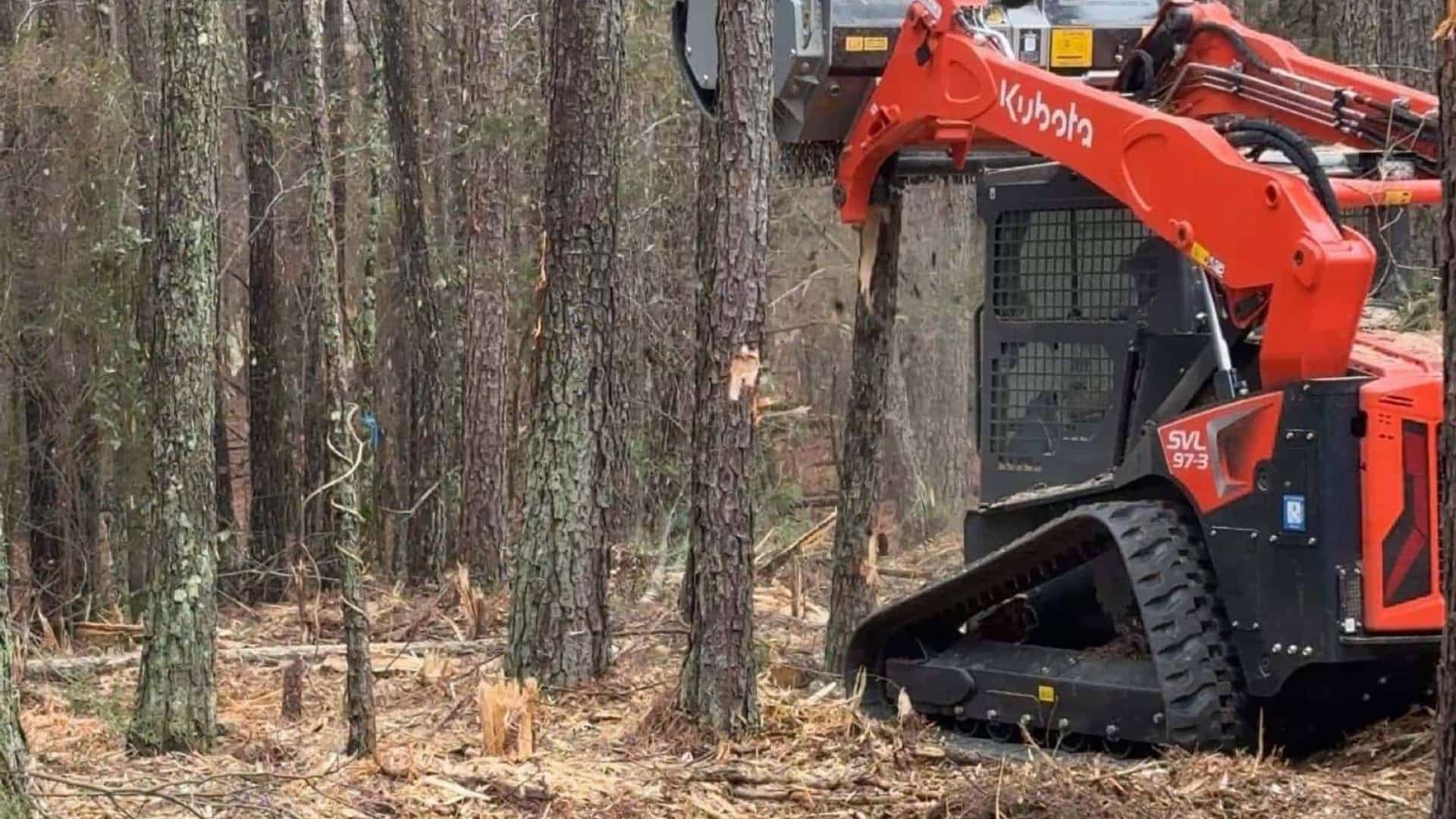 Forestry mulcher, bulldozer, and bush hog side-by-side comparison for Carolina land clearing