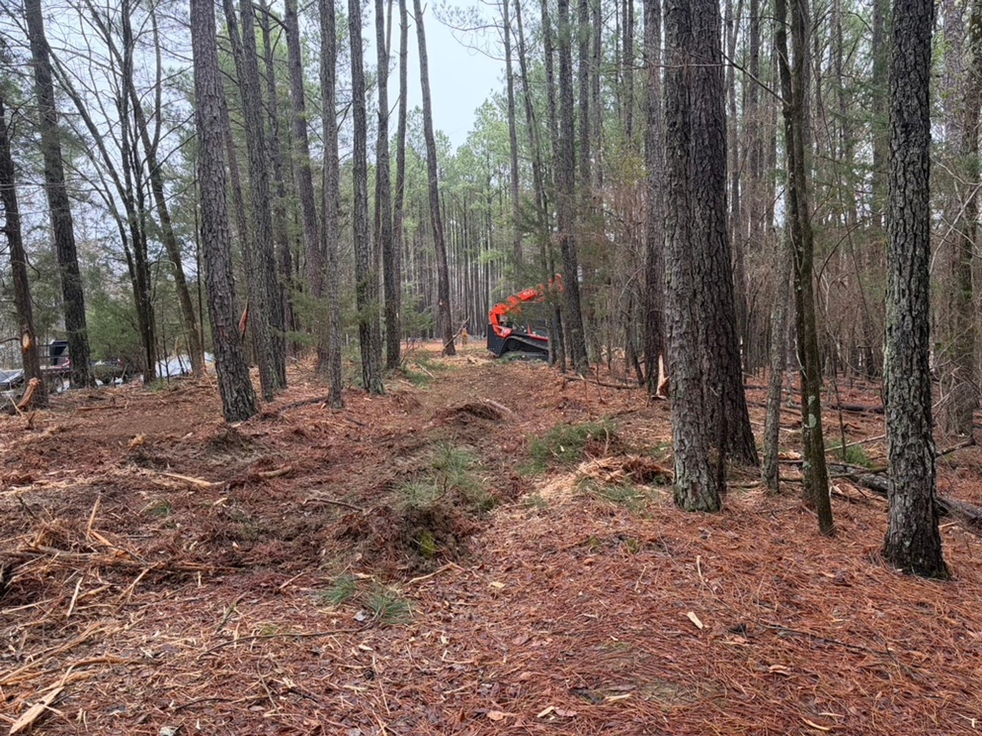Forestry mulcher working through a remote wooded tract near Buford, SC