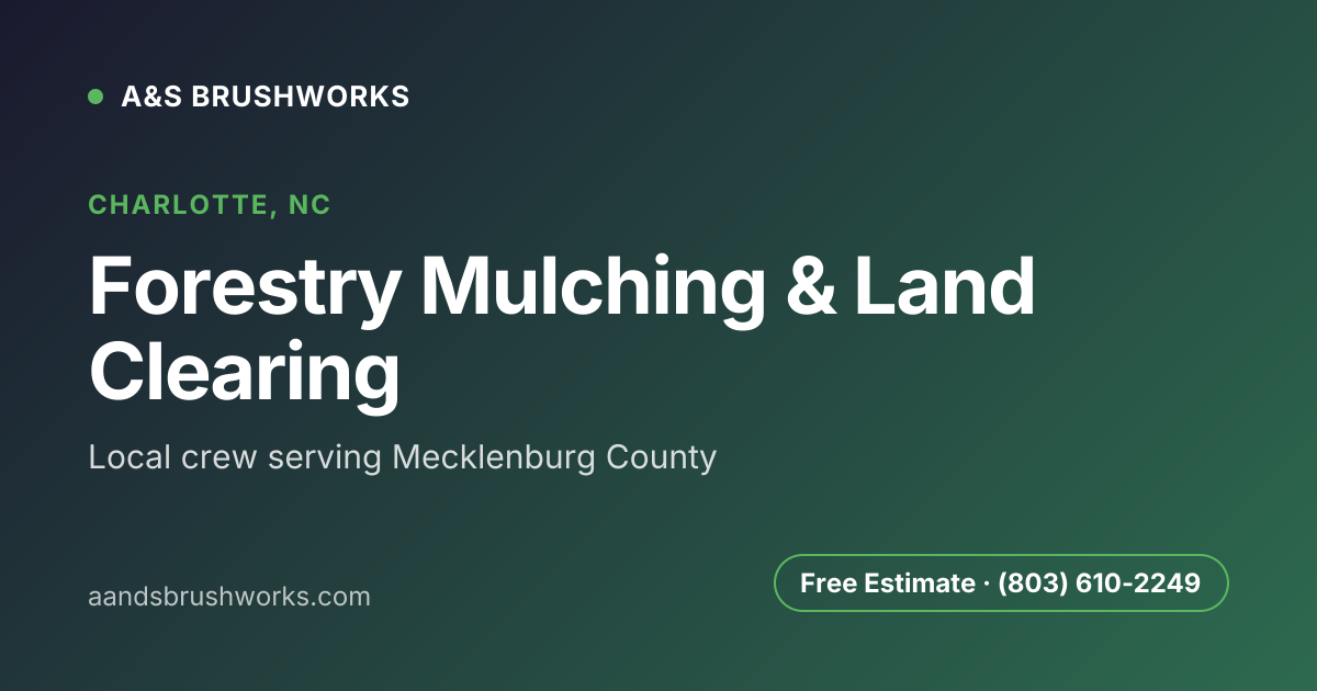 Forestry Mulching & Land Clearing in Charlotte NC | A&S Brushworks | A ...
