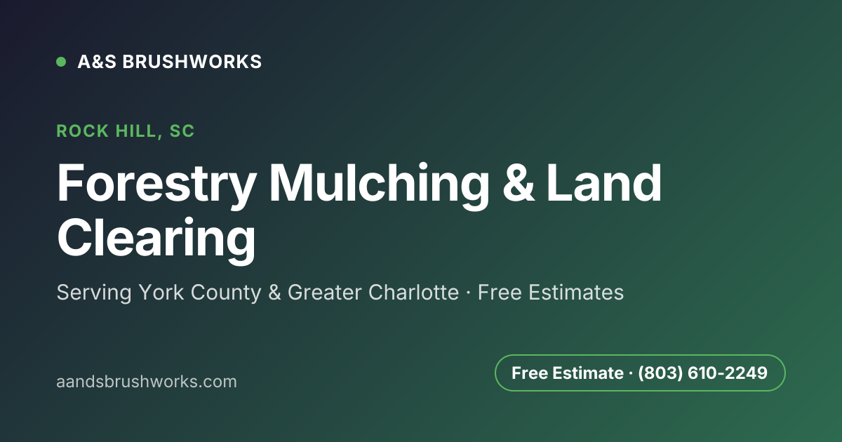A&S Brushworks | Land Clearing & Forestry Mulching in Rock Hill, SC